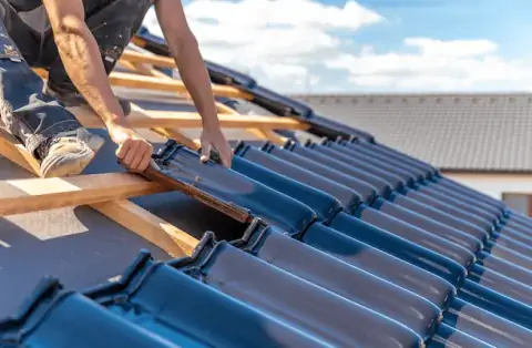 Couverture - Bélarga